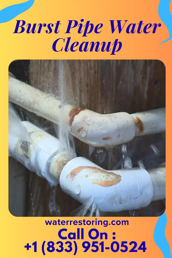 Burst Pipe Water Cleanup in McGrew, NE