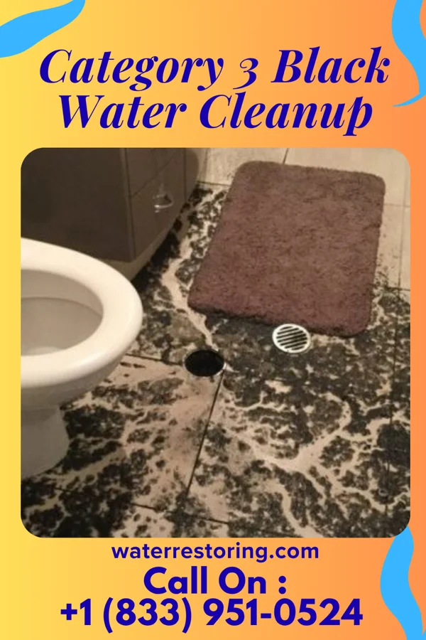 Category 3 Black Water Cleanup in McGrew, NE