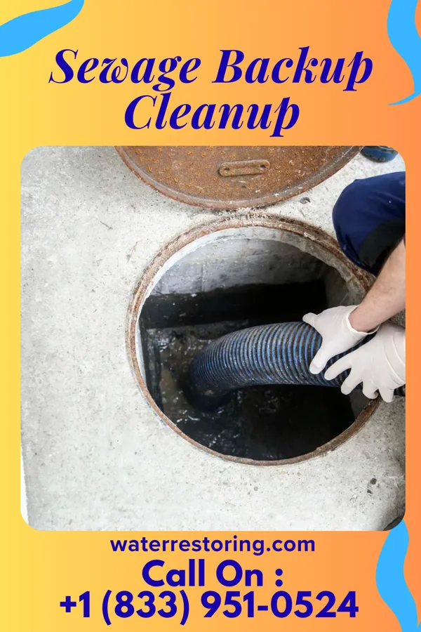 Sewage Backup Cleanup in McGrew, NE